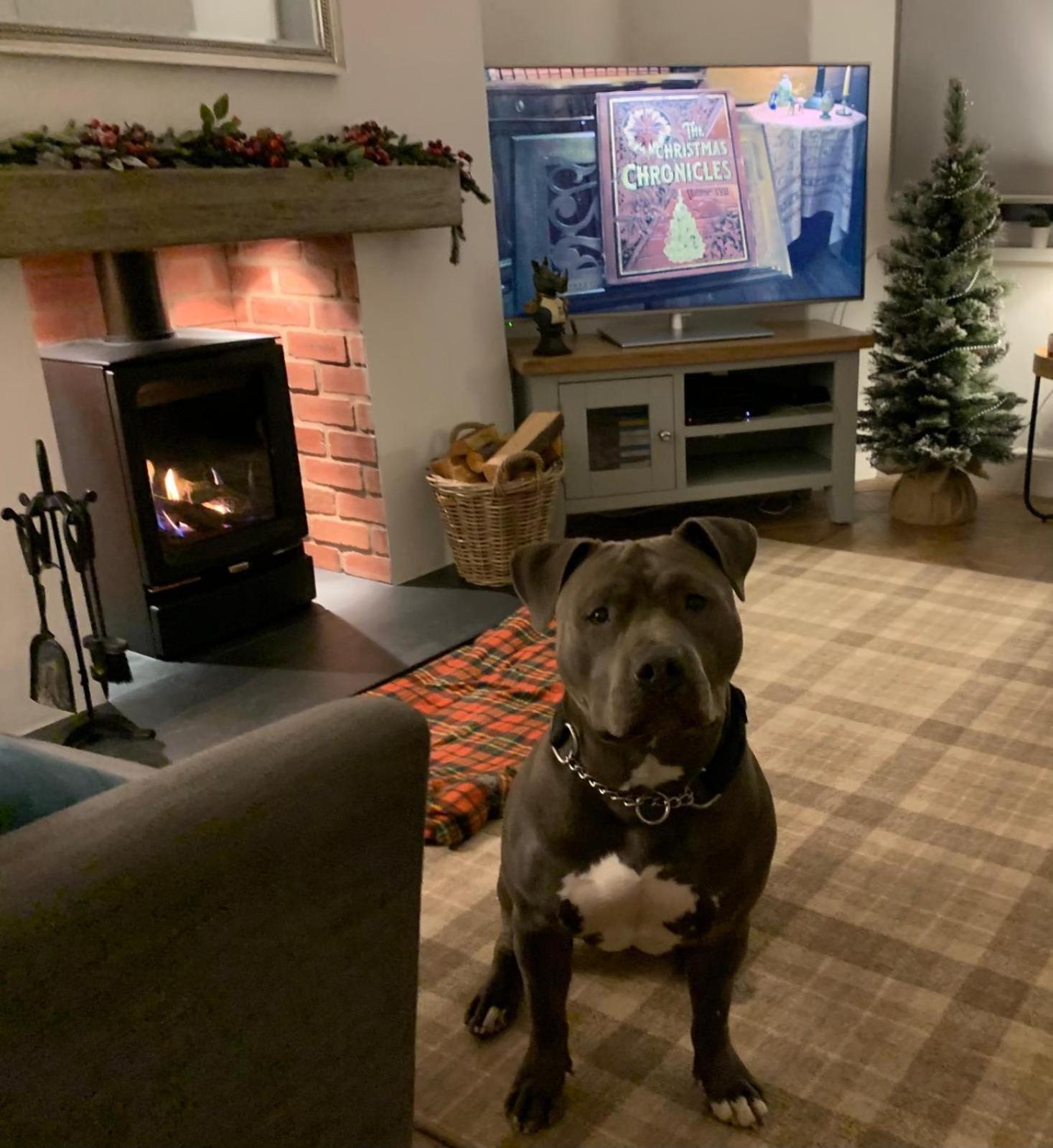 Casa vacanze Woodland - Private Courtyard - Pet Friendly Retreat In The Heart Of Windermere